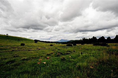 cloudy meadow